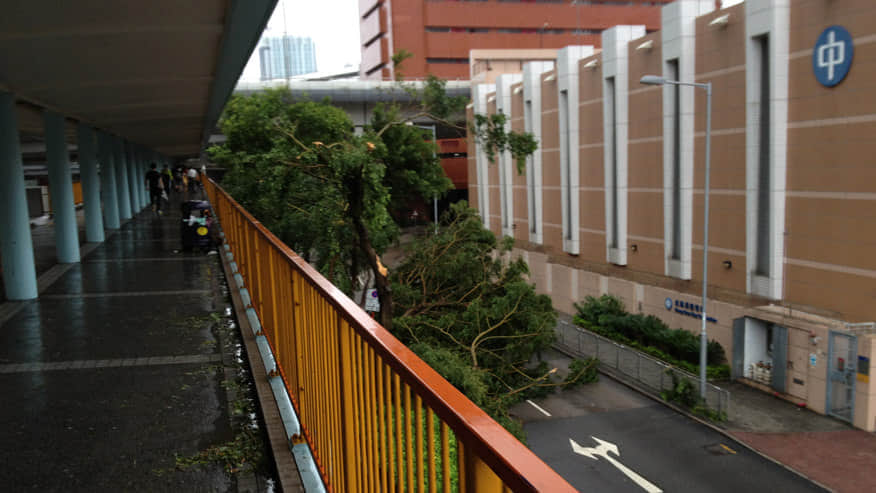颶風過後一片狼藉