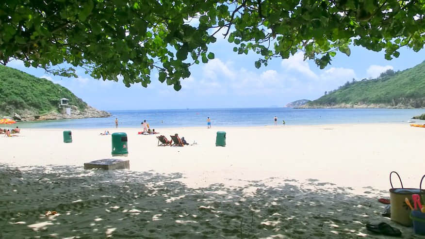 坐在樹蔭下看海