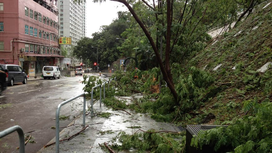 颶風過後一片狼藉